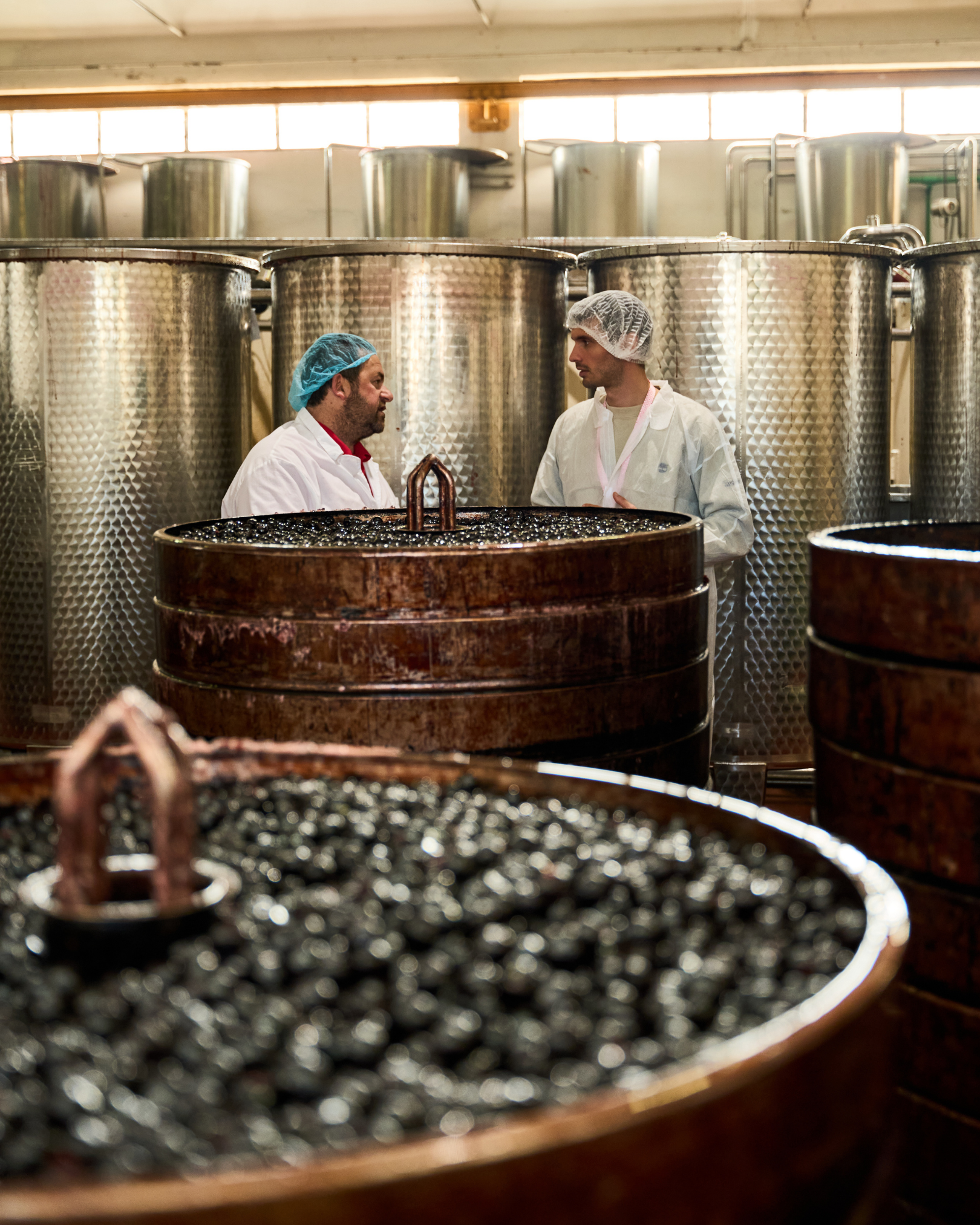 preparazione amarene in azienda Toschi