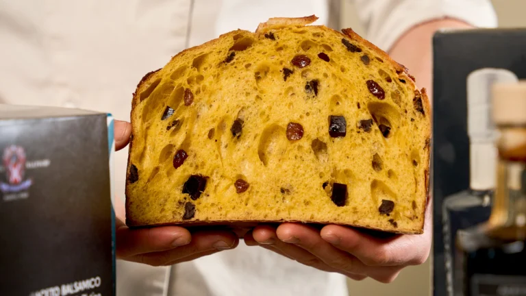 Panettone artigianale Busuoli con gocce di cioccolato e Aceto Balsamico Malpighi, fotografato in primo piano