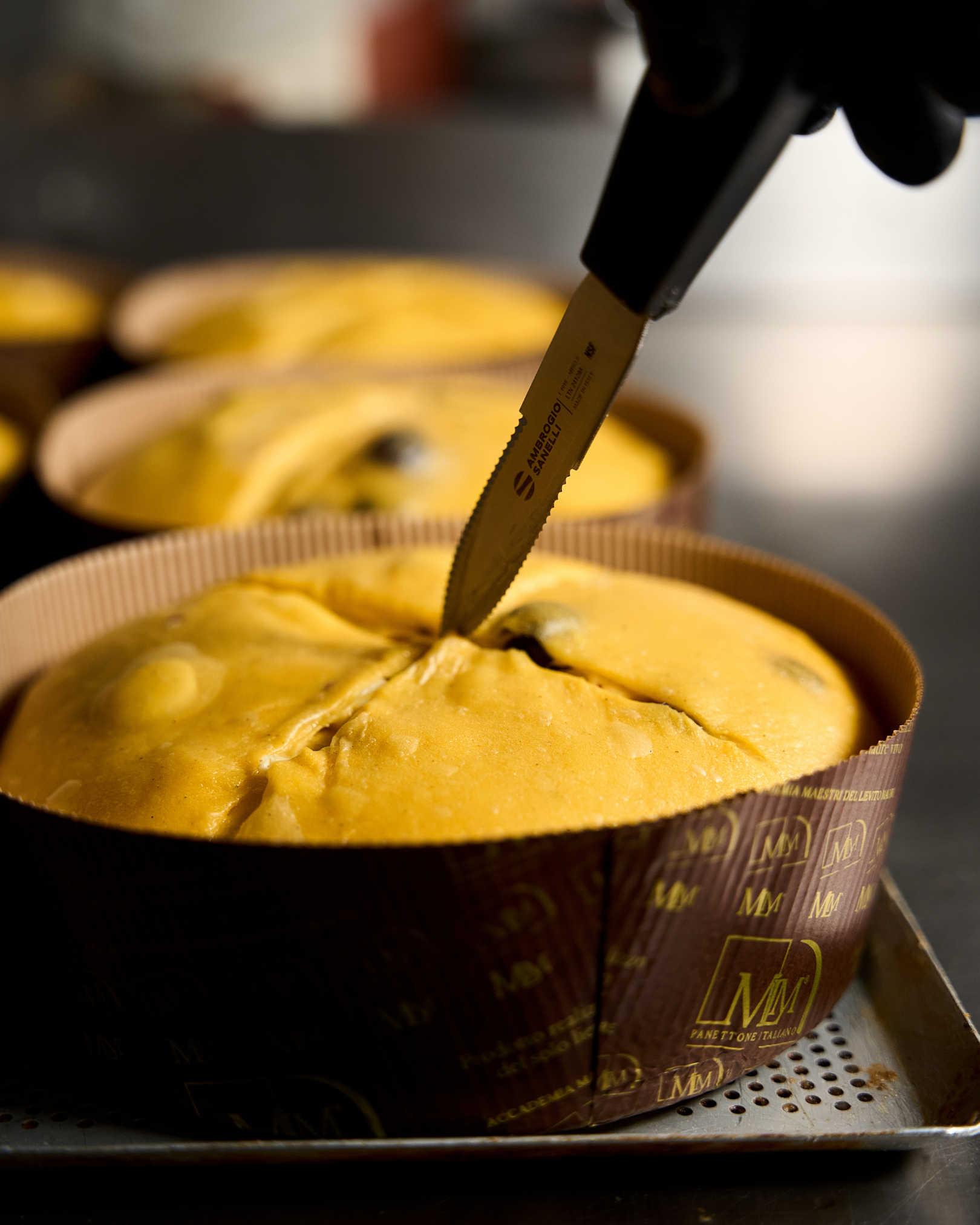 panettone in primo piano prima di essere infornato pasticceria busuoli modena